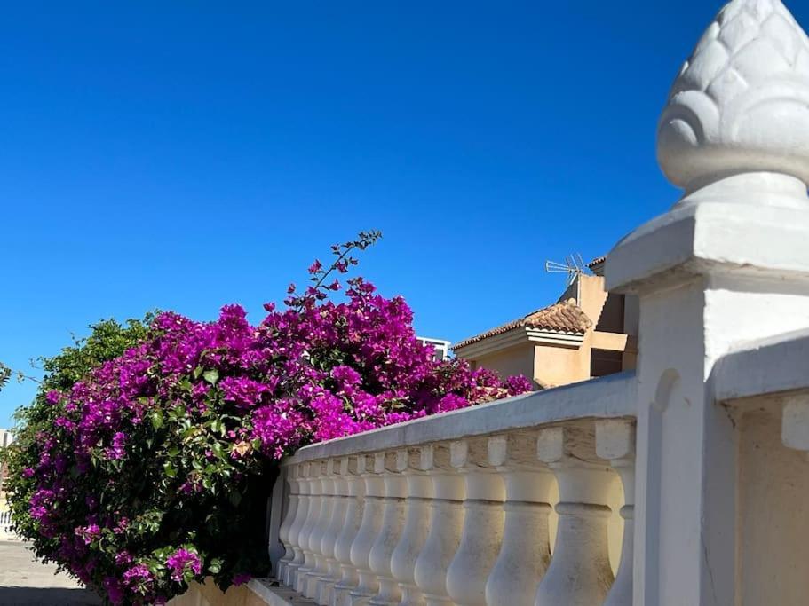 Apartamento Club Salino 18 Torrevieja Exterior foto
